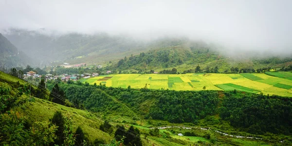 Punakha Dzong